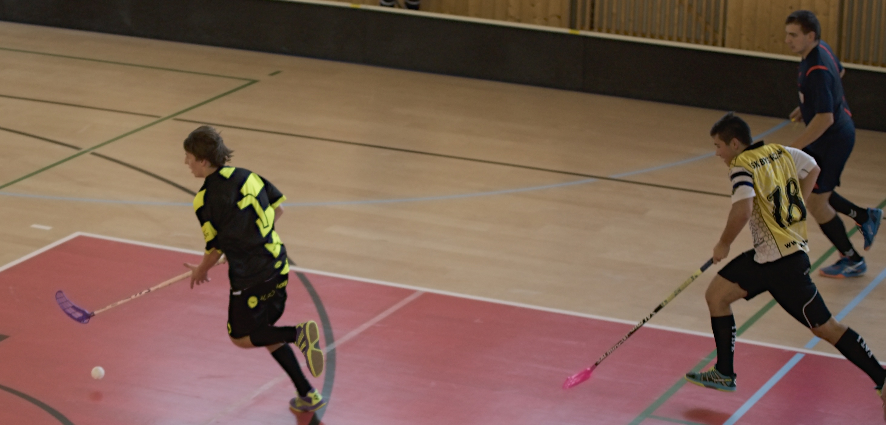 JunciLedec241015 196